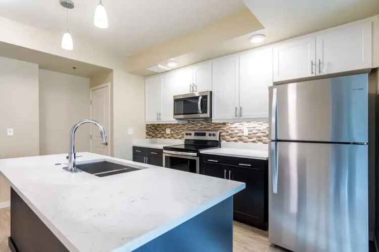 Apartments for Rent in Centennial with Luxury Amenities and Spacious Layouts