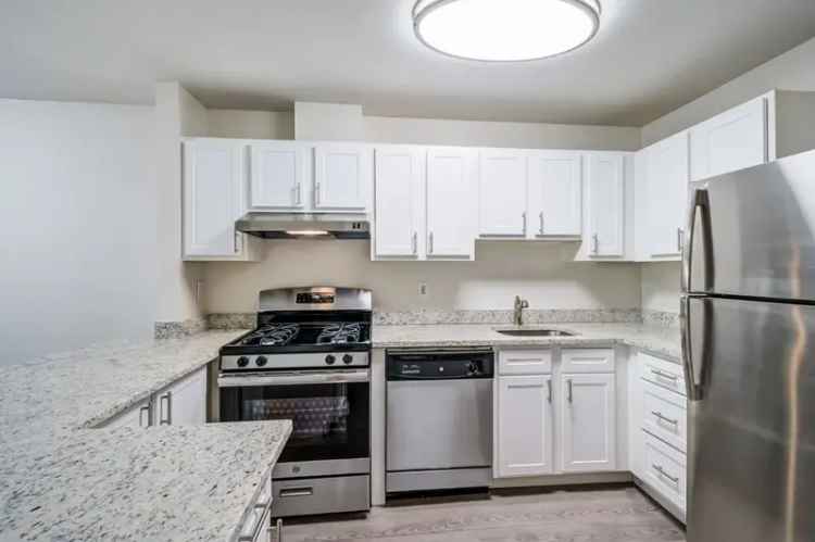 Rent Apartments in Nob Hill with Modern Features and Pet-Friendly Living