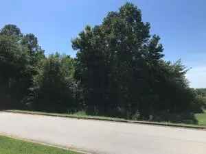 Land For Sale in 1316, West Holt Avenue, Harrison, Arkansas