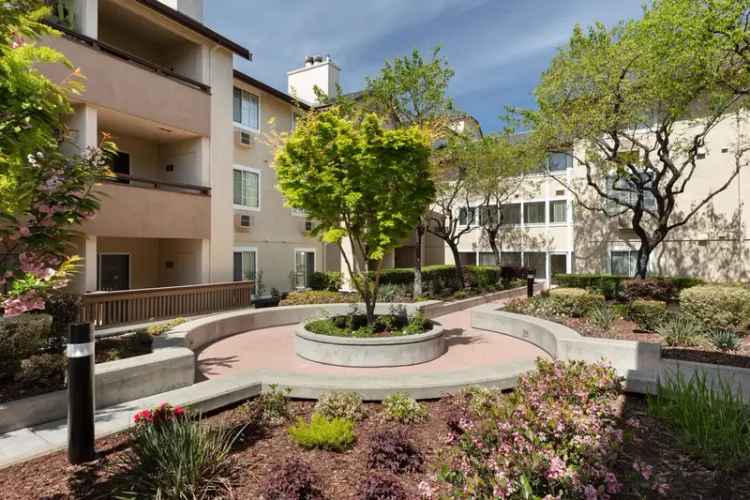 Rent Apartments in Downtown Hayward with Modern Amenities