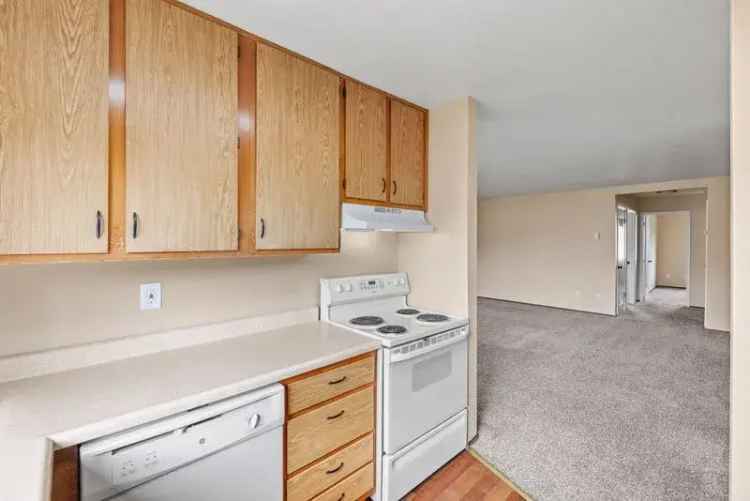 Rent Large 2 Bedroom 1 Bathroom Apartment in Marina with Amenities