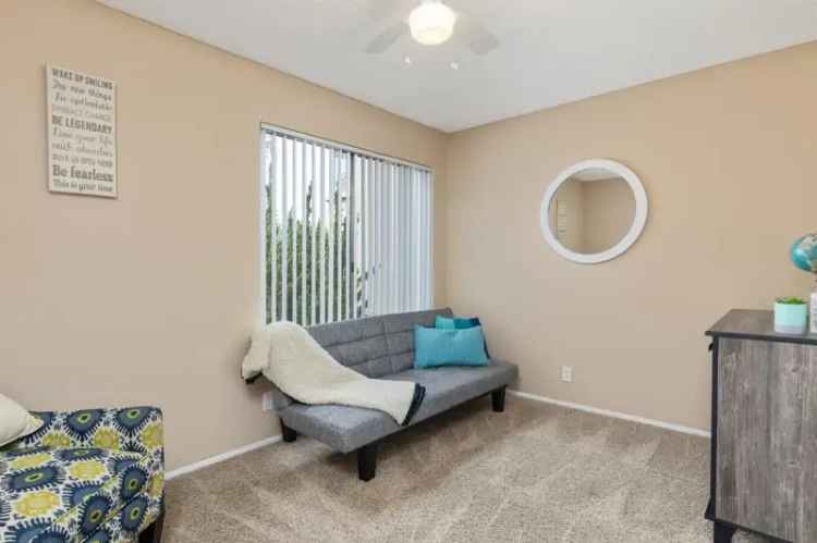 Rent Spacious Three Bedroom Apartments in San Diego Near SDSU