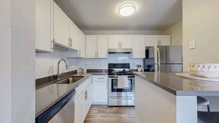 Rent Pet Friendly Apartments in Bloomington MN with Great Amenities