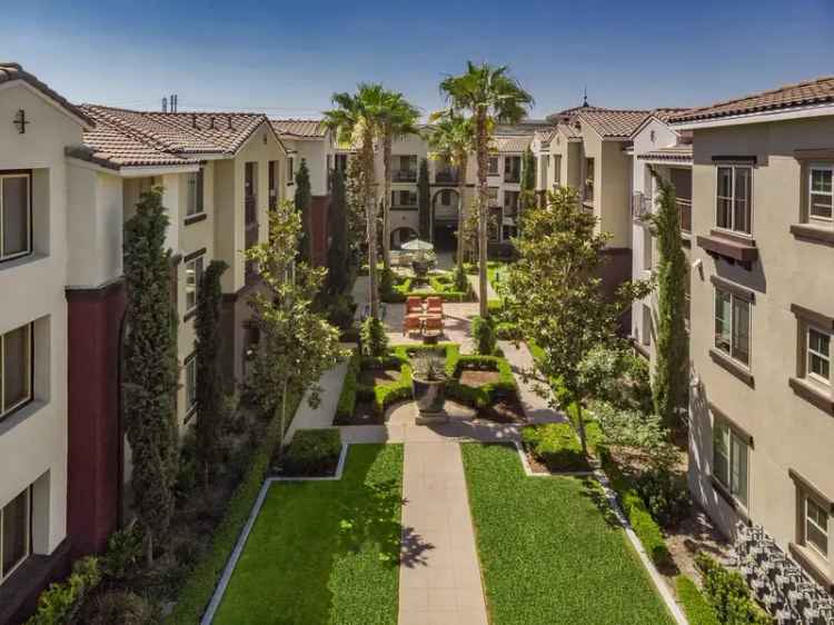 Rent Luxury Apartments in Mission Viejo with Modern Amenities