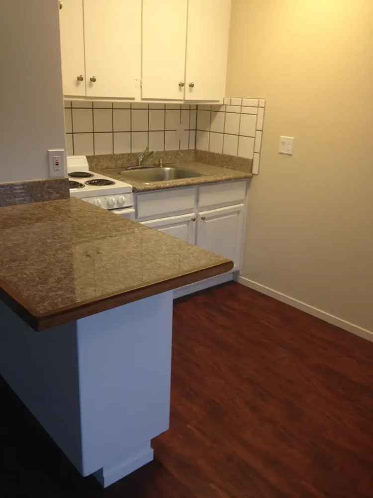 Rent Spacious 1 Bedroom Apartment in San Leandro with Pet-Friendly Features