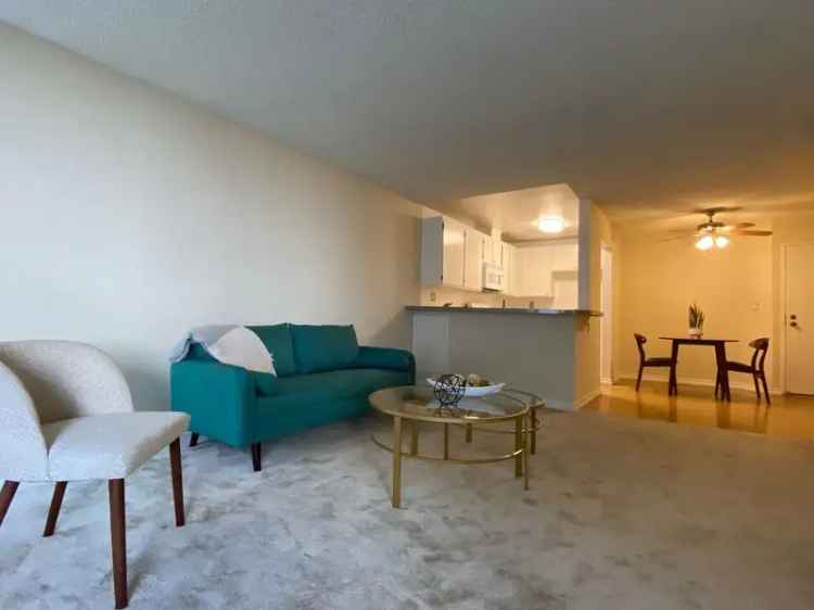 Rent Spacious One Bedroom Apartment with Den in Los Feliz