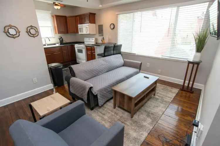 Furnished Apartment for Rent in Downtown with Easy Access to Amenities