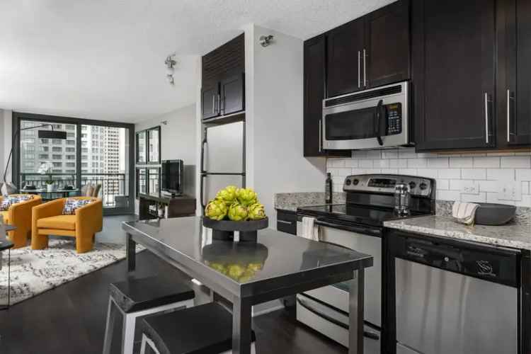 Luxury Apartments for Rent in Cityfront Place Chicago with Amenities