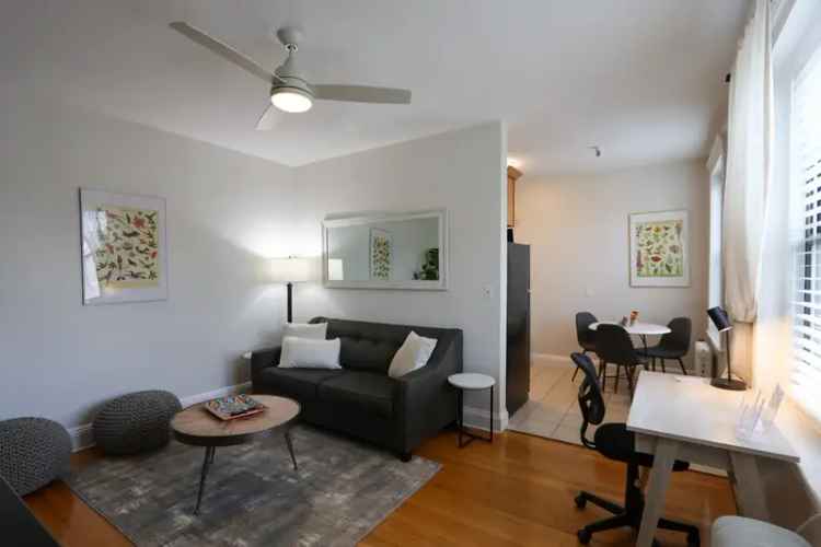 Furnished apartment for rent near Boston hospitals and universities