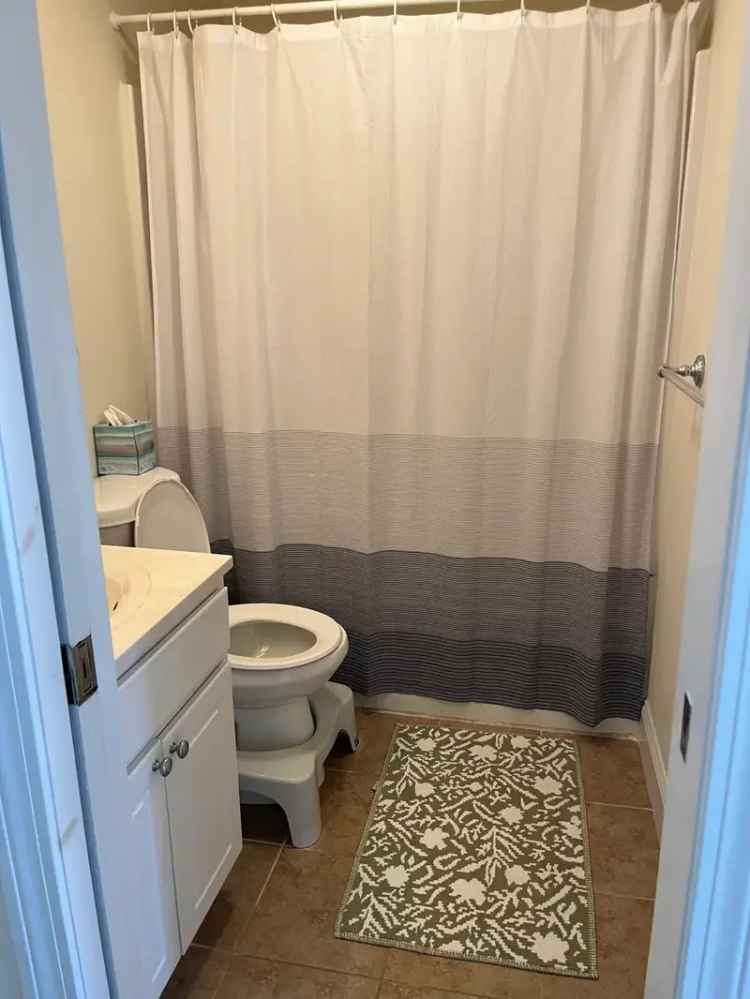 Rent Renovated Apartment Inman Square Pet Friendly 1 Bedroom