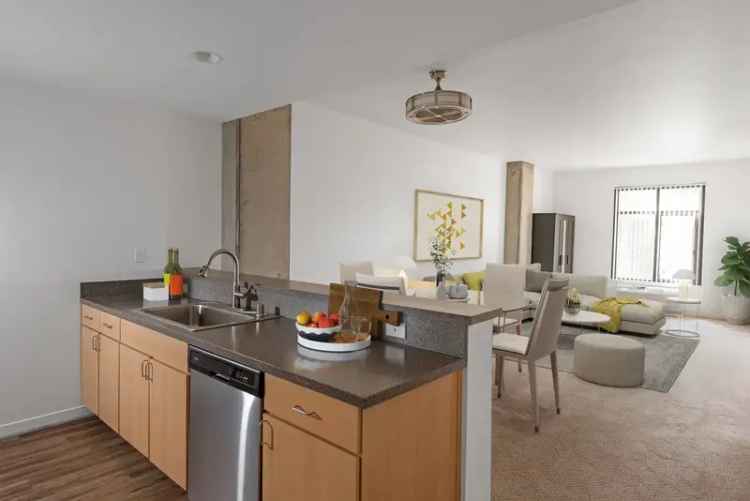 Rent Apartments in San Jose with Modern Features and Privacy