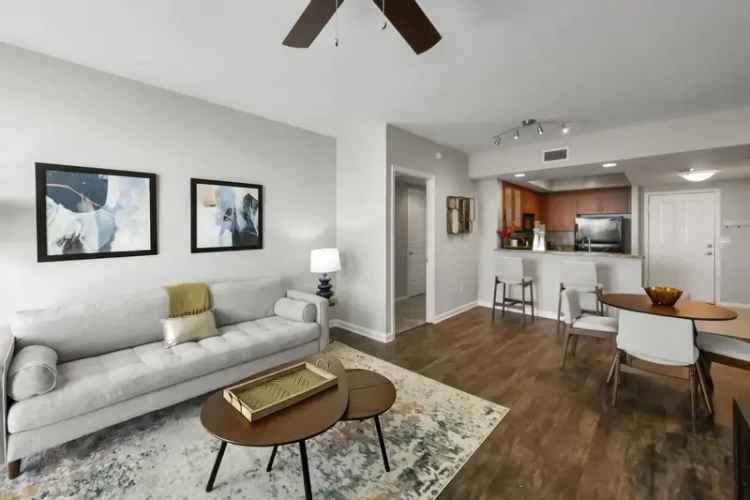 Rent Luxury Apartments in Downtown Jacksonville with Stunning Skyline Views