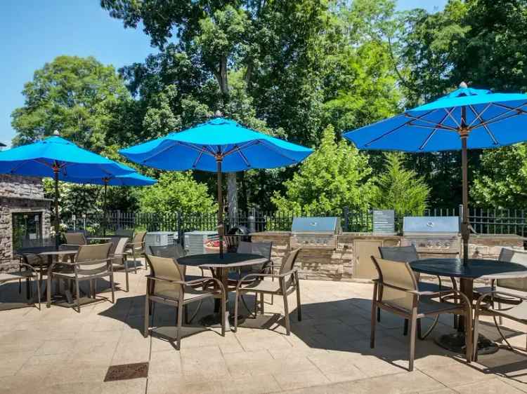 Luxury apartment rent amidst lush greenery at White Oaks at Wilton