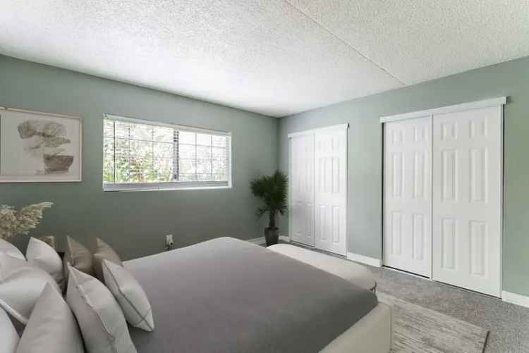 Rent Apartments in Tampa with Modern Features and Amenities