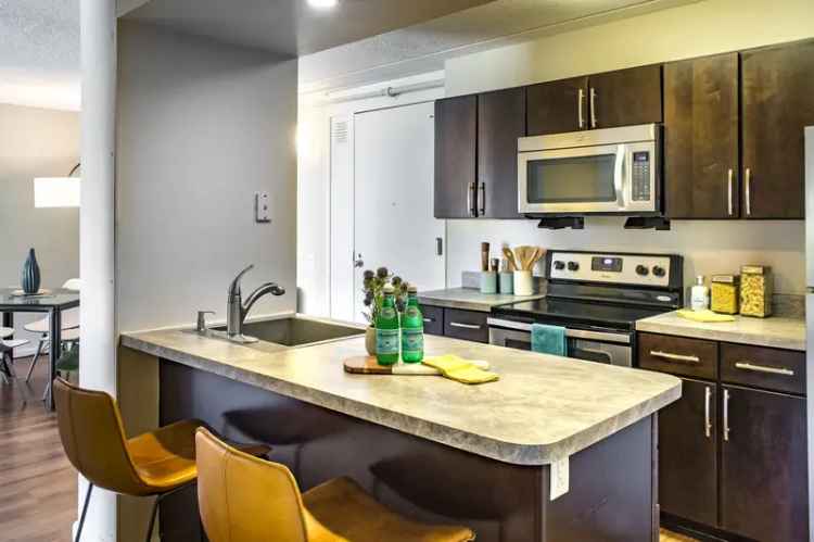 Rent Apartments in Medford with Utility Included and Great Amenities