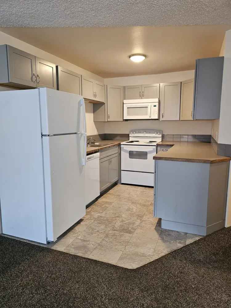 Rent Apartment in Lower South Hill with Secure Access and Amenities