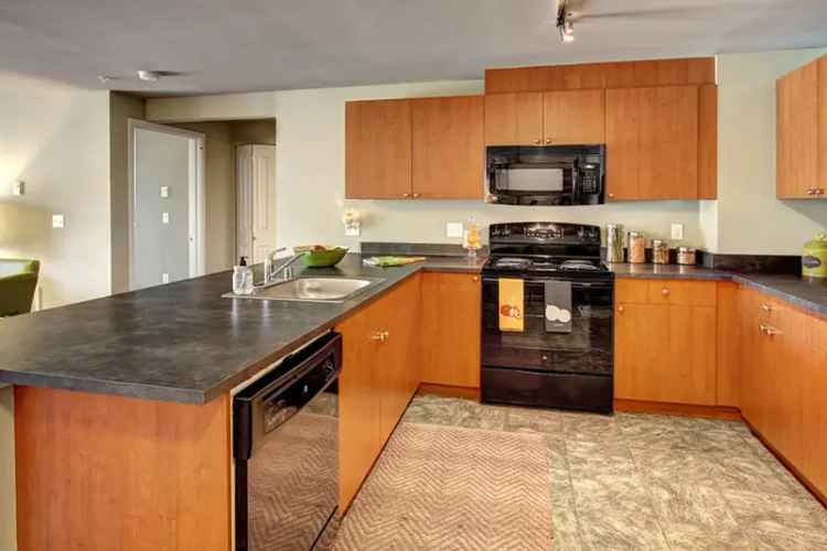 Rent Apartments in Bellevue with Urban Comfort and Nature Features