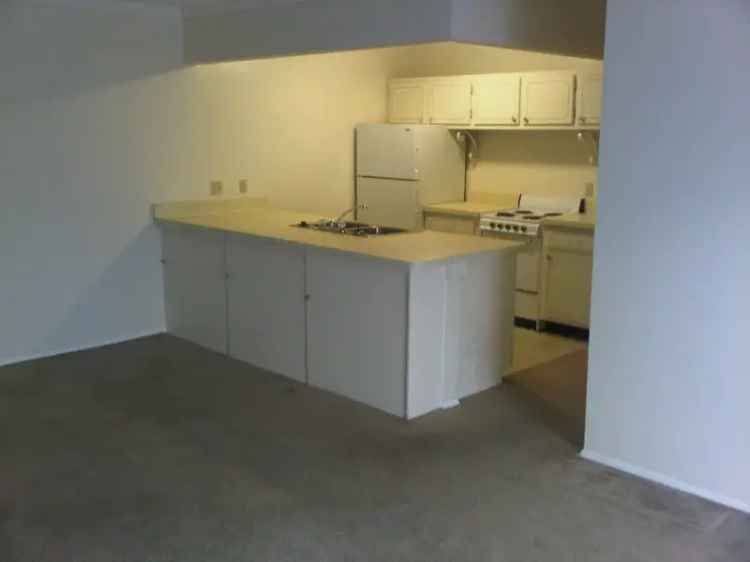 Rent Apartments in Premier Hyde Park Building with Parking and Elevators