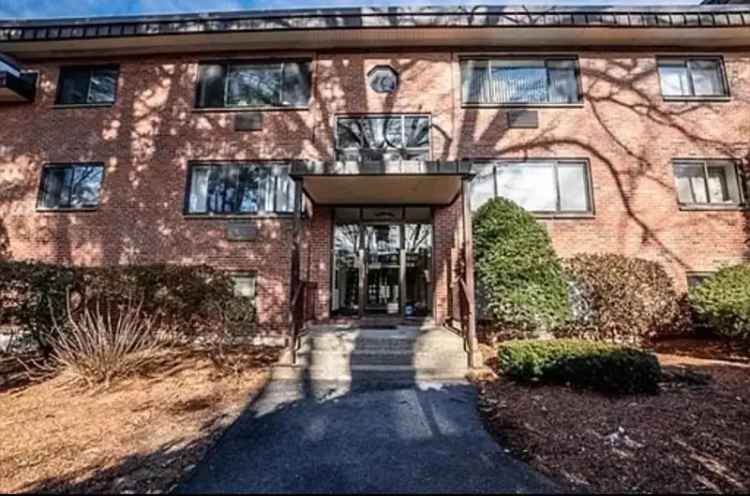 Rent Large One Bedroom Apartment in Oak Terrace with Pool and Exercise Room