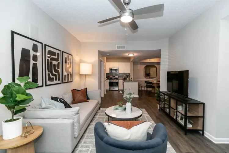 Rent Apartments in Buckhead with Premier Amenities and Pet Friendly Options