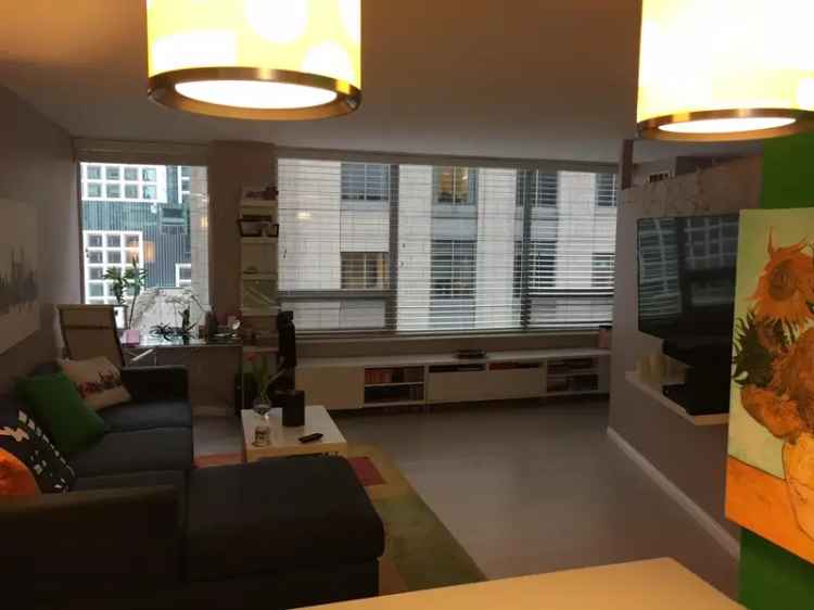 Rent Spacious One Bedroom Apartment in Streeterville Chicago with Amenities