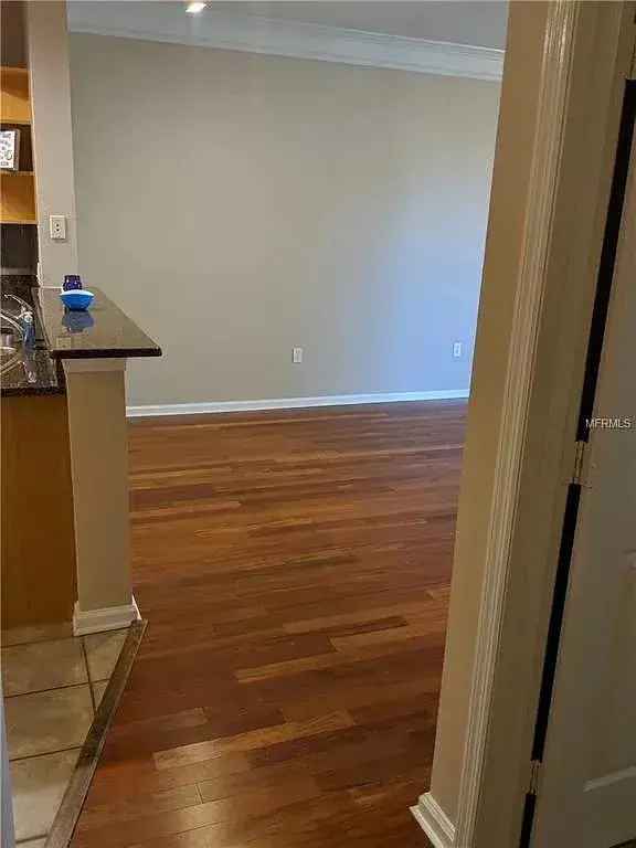 Rent Cozy One Bedroom Condo in South Tampa with Great Amenities