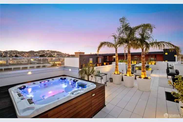 Buy Penthouse in Mission District with Stunning Roof Deck and Spa