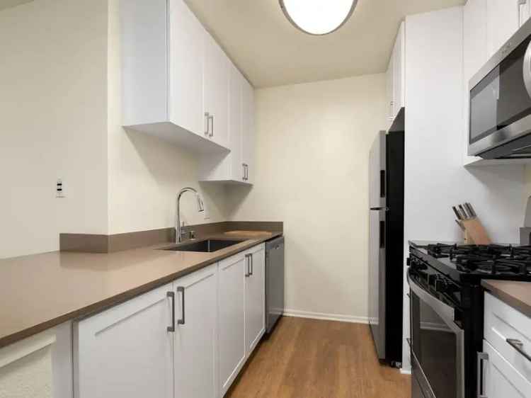 Apartment Rentals in Los Angeles with Great Amenities and Location