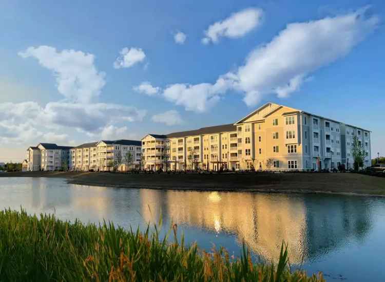 Rent Apartments in Myrtle Beach with Luxury Amenities for Seniors