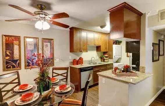 Rent Apartments in La Mesa with Modern Features and Amenities