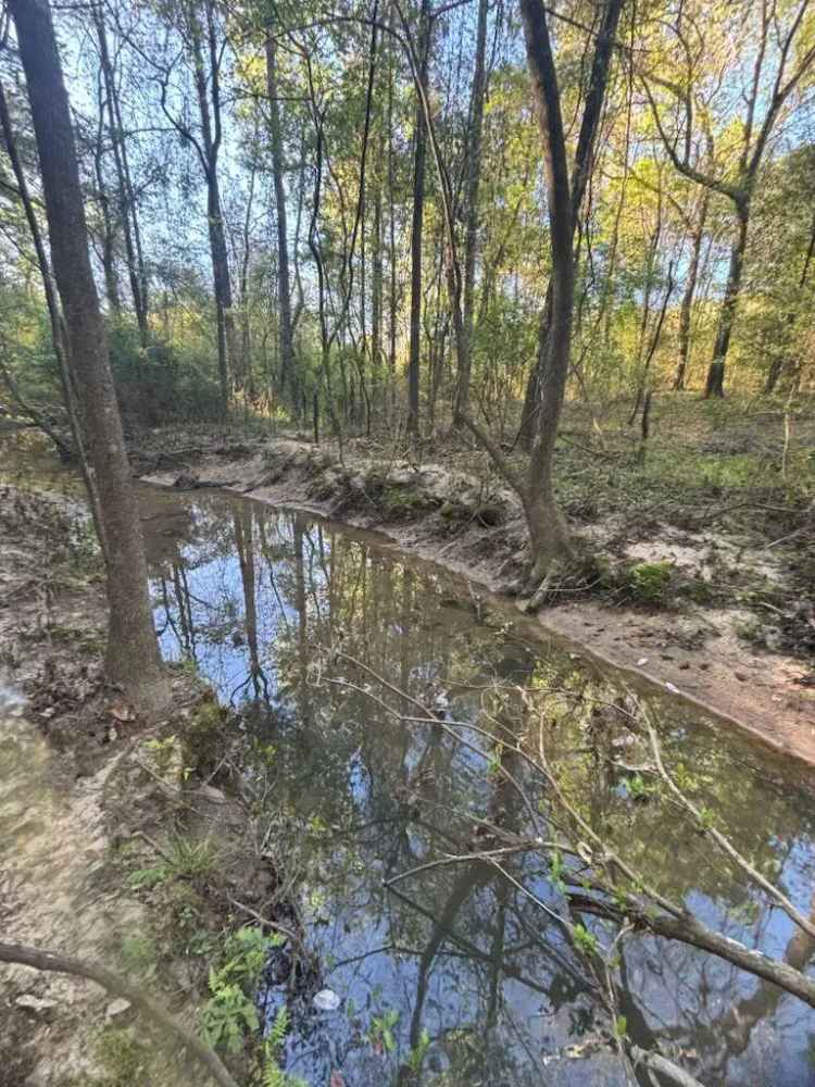 Buy Land in Houston County with 16 Acres of Wooded Bliss