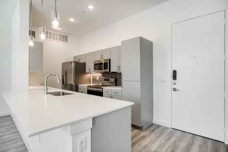 Rent Apartments in Oak Lawn with Spacious Floor Plans and Top Finishes