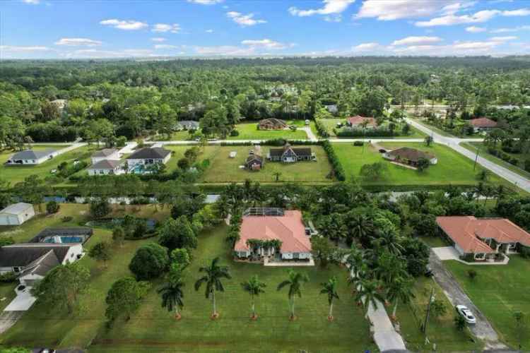 Buy House in Peaceful Haven with Pool and Tiki Hut on 1.3 Acres