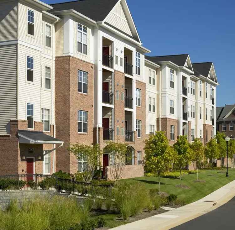 Rent Apartments Near Dulles Airport with Spacious Floor Plans and Amenities