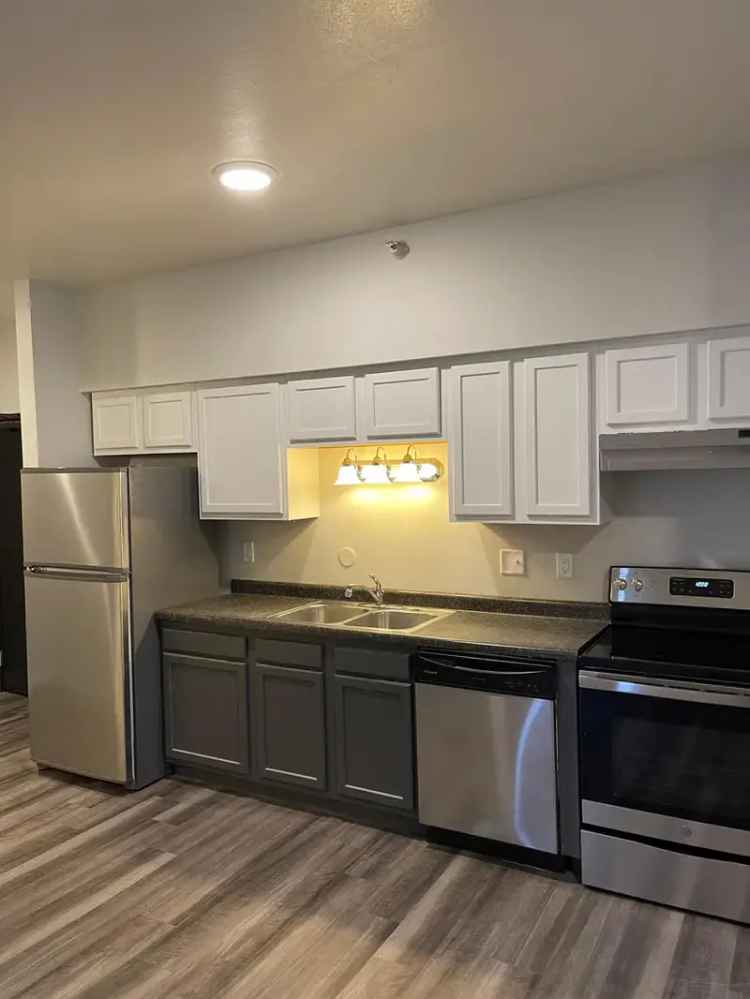 Rent 5 Bedroom Apartment Near Campus with Utilities included