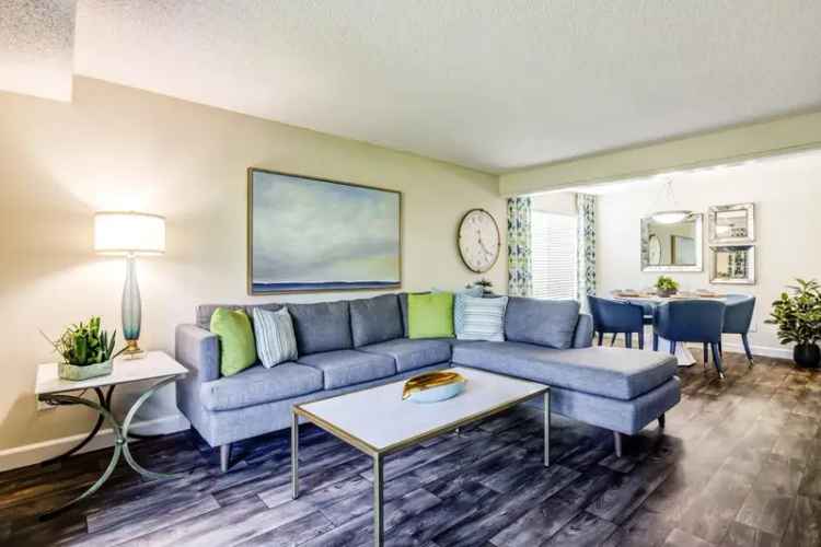 Rent Apartment in Bellevue With Beautiful Interiors and Amenities