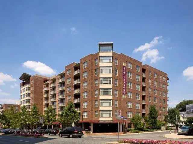 Rent Luxury Apartments in Rosedale Park Bethesda with Attentive Service