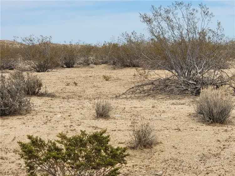 Land For Sale in California City, California