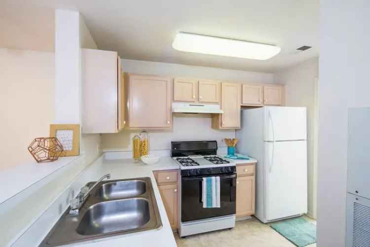 Rent Spacious Pet Friendly Apartments in Bowie