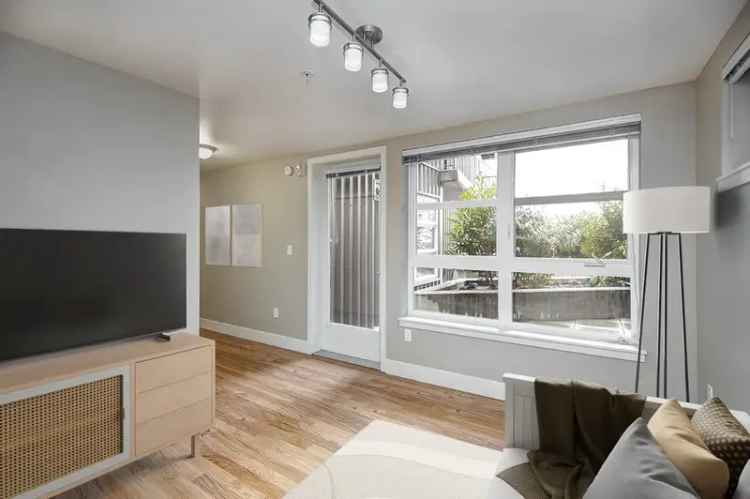 Rent Apartments in South Lake Union with Stunning Lake Views