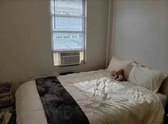 Rent 4 Bedroom Apartment in Williamsburg with Two Bathrooms