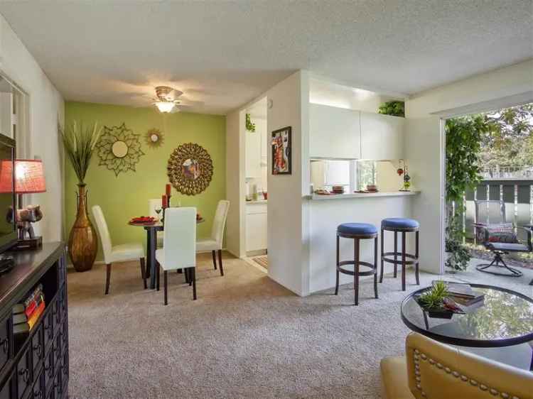 Rent Apartments in Goleta with Modern Comfort and Resort Amenities