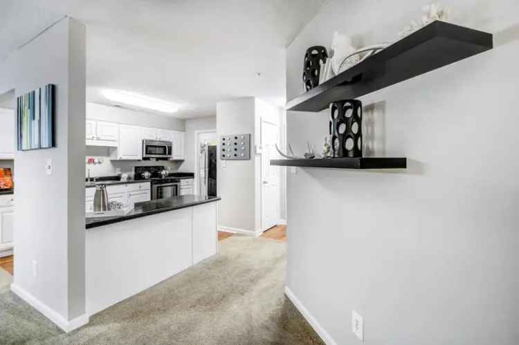 Rent Spacious Apartments in Sandy Springs with Modern Amenities