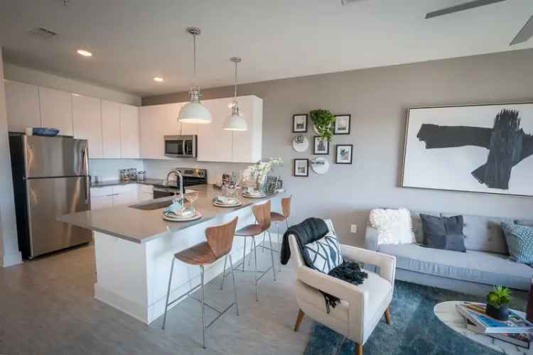 Luxury Rent Apartment in Downtown Atlanta with Modern Amenities