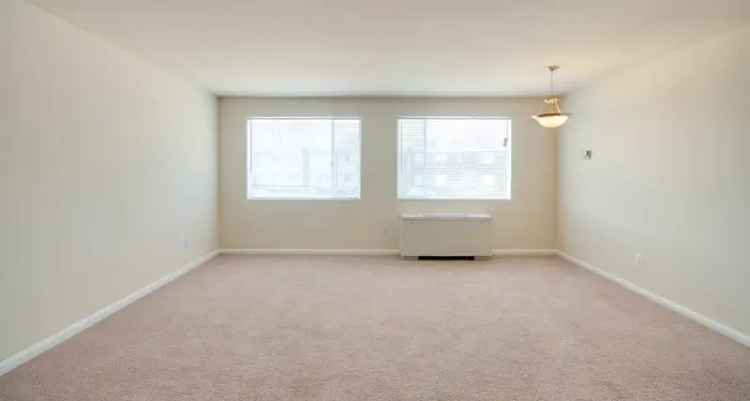 Rent Apartments in Arlington with Comfort and Convenience