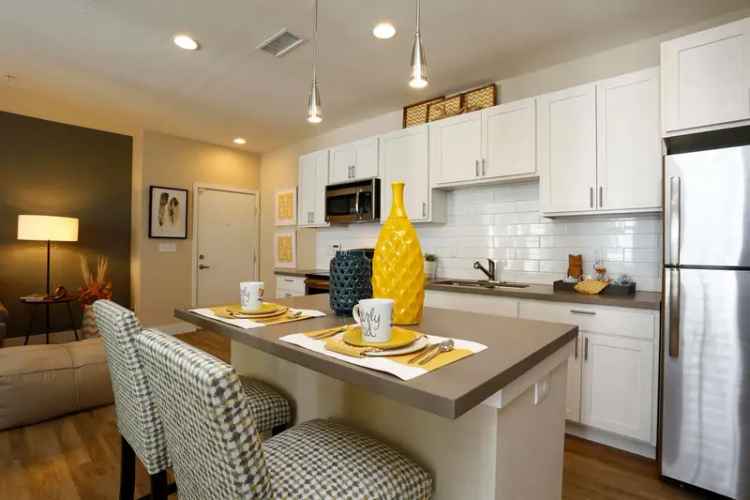 Rent Luxurious Apartments in Denver with Stunning Skyline Views