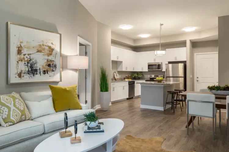 Rent Urban Apartments in Sarasota with Resort-Style Amenities