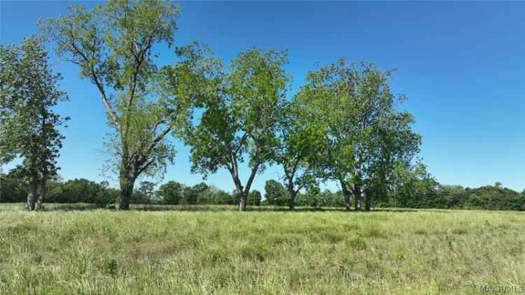 Buy Land 5 Acres Near Ross Clark Circle with Majestic Oaks