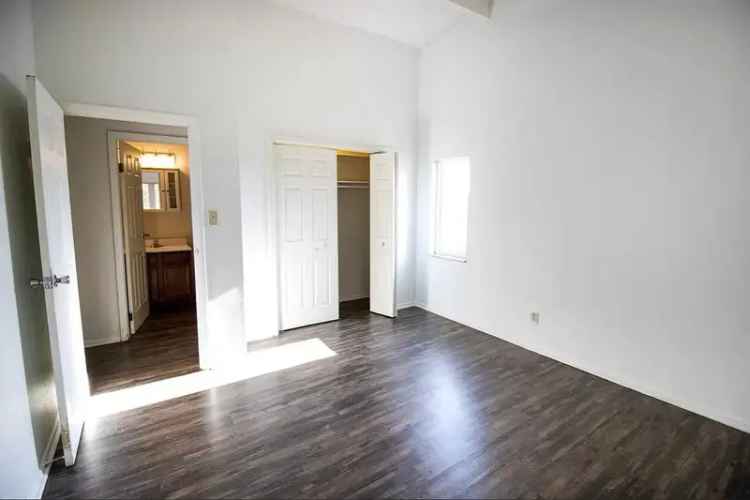 Rent Apartments Close to Campus with Spacious Units and Pet Friendly Features