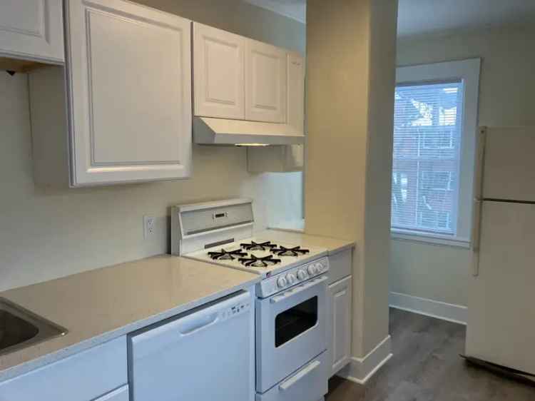 Rent Apartment Unit in Waltham with Renovated Kitchen and 360 Degree Exposure